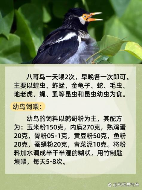 mm356少妇人妻的相关介绍