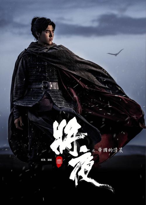 日照电影院的相关介绍