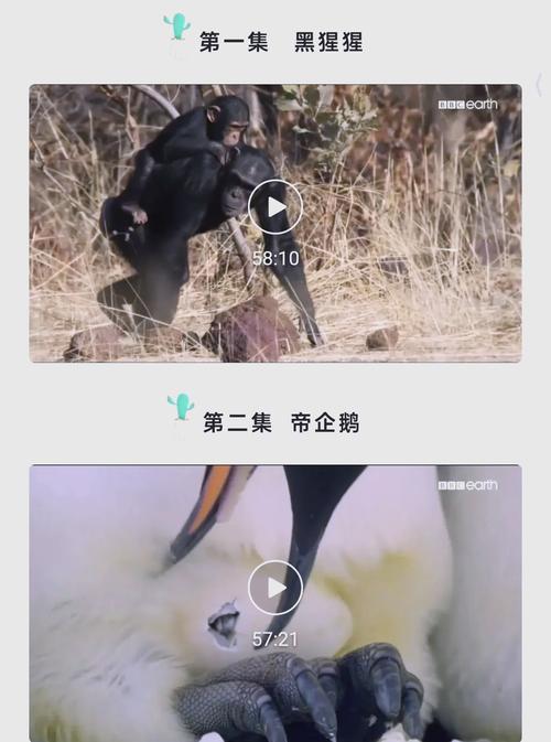 亚洲成av人影院的相关介绍
