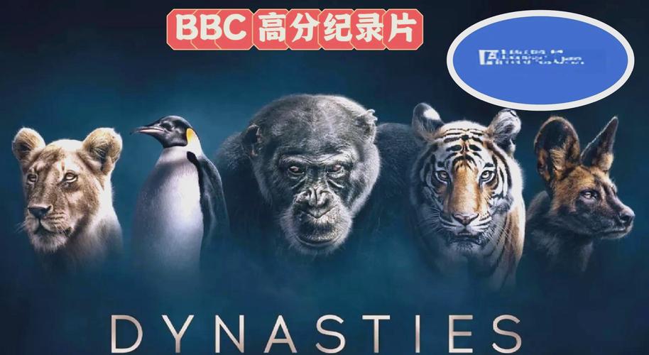 神马影院在线手机最新版的相关介绍