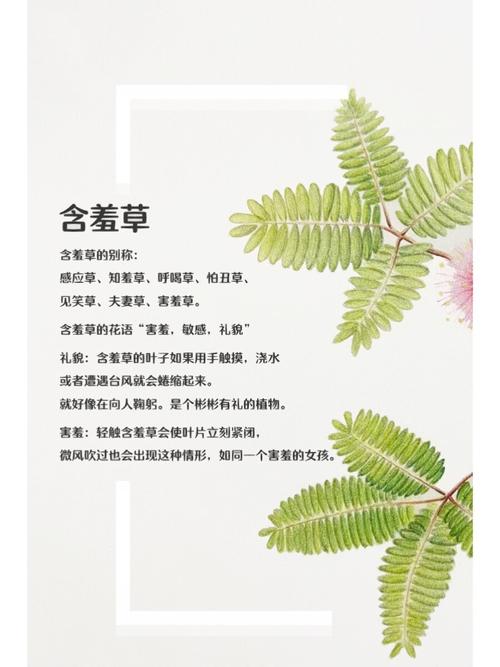 星空影院免费观看电影的相关介绍