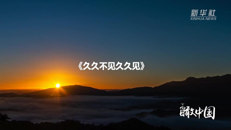 齐鲁影院的相关介绍