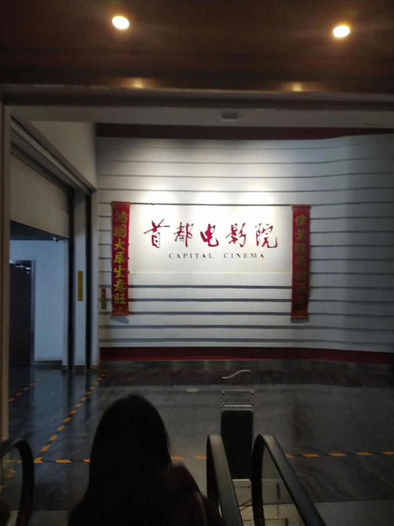 被狂c躁到高潮小说的相关介绍