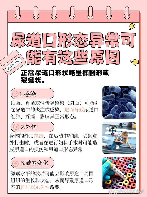 欧美人妻少妇一区二区的相关介绍
