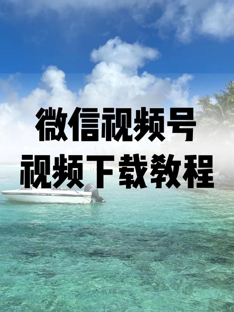 影院电影的相关介绍