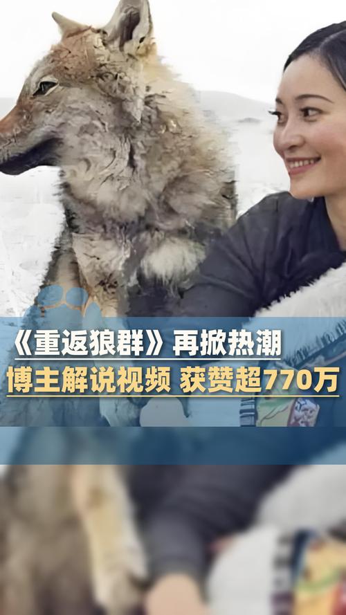 亚洲少妇中文字幕的相关介绍