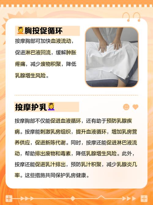 日本波多野在线的相关介绍