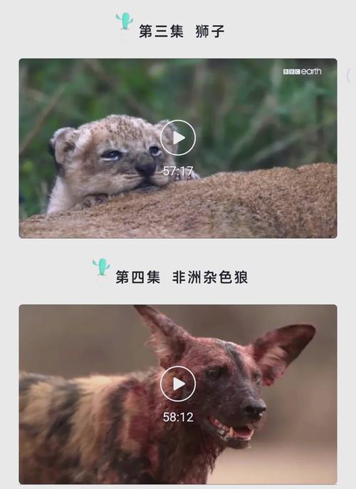 老师和女学生啪啪啪的相关介绍