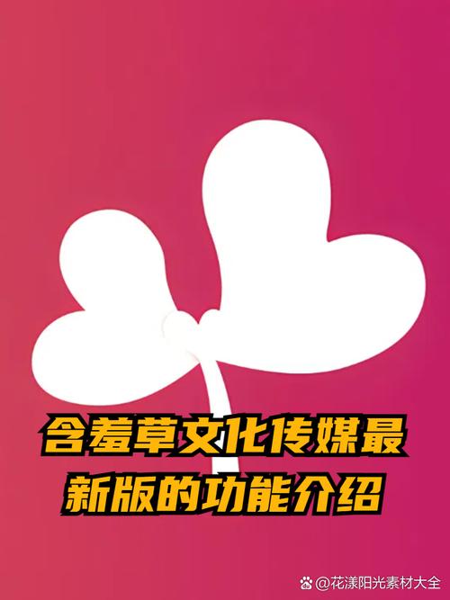 久久少妇亚洲的相关介绍