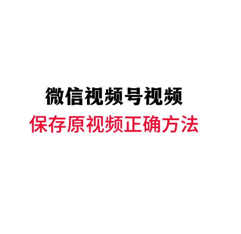 美女精品 欧美 久久的相关介绍
