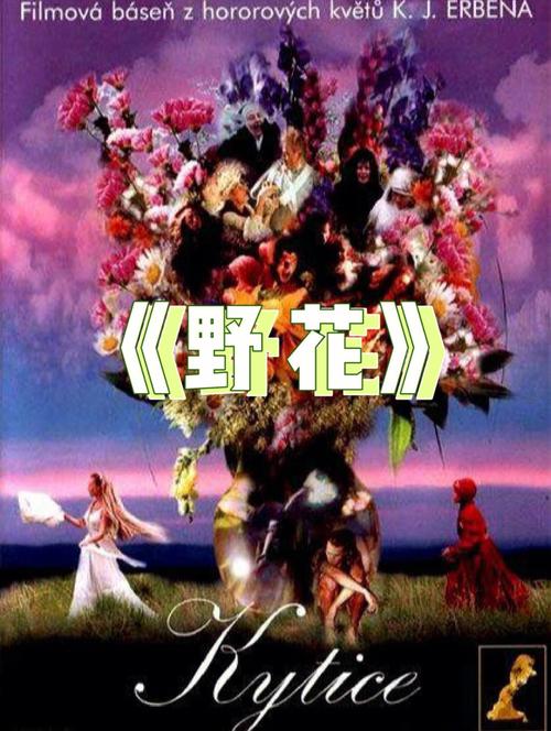 小小影院的相关介绍