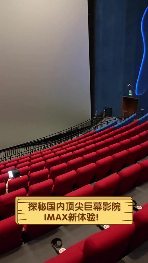 琪琪影院yy480线观看i的相关介绍