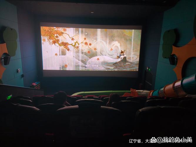 私人影院播放器下载的相关介绍