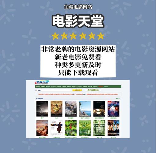 毛级大片的相关介绍