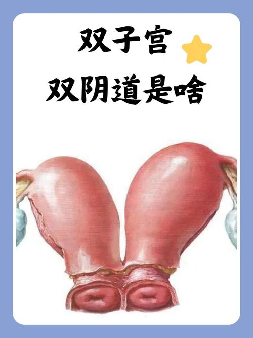 2021精品人妻少妇网站的相关介绍