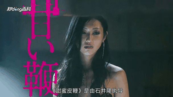 皮皮影院的相关介绍