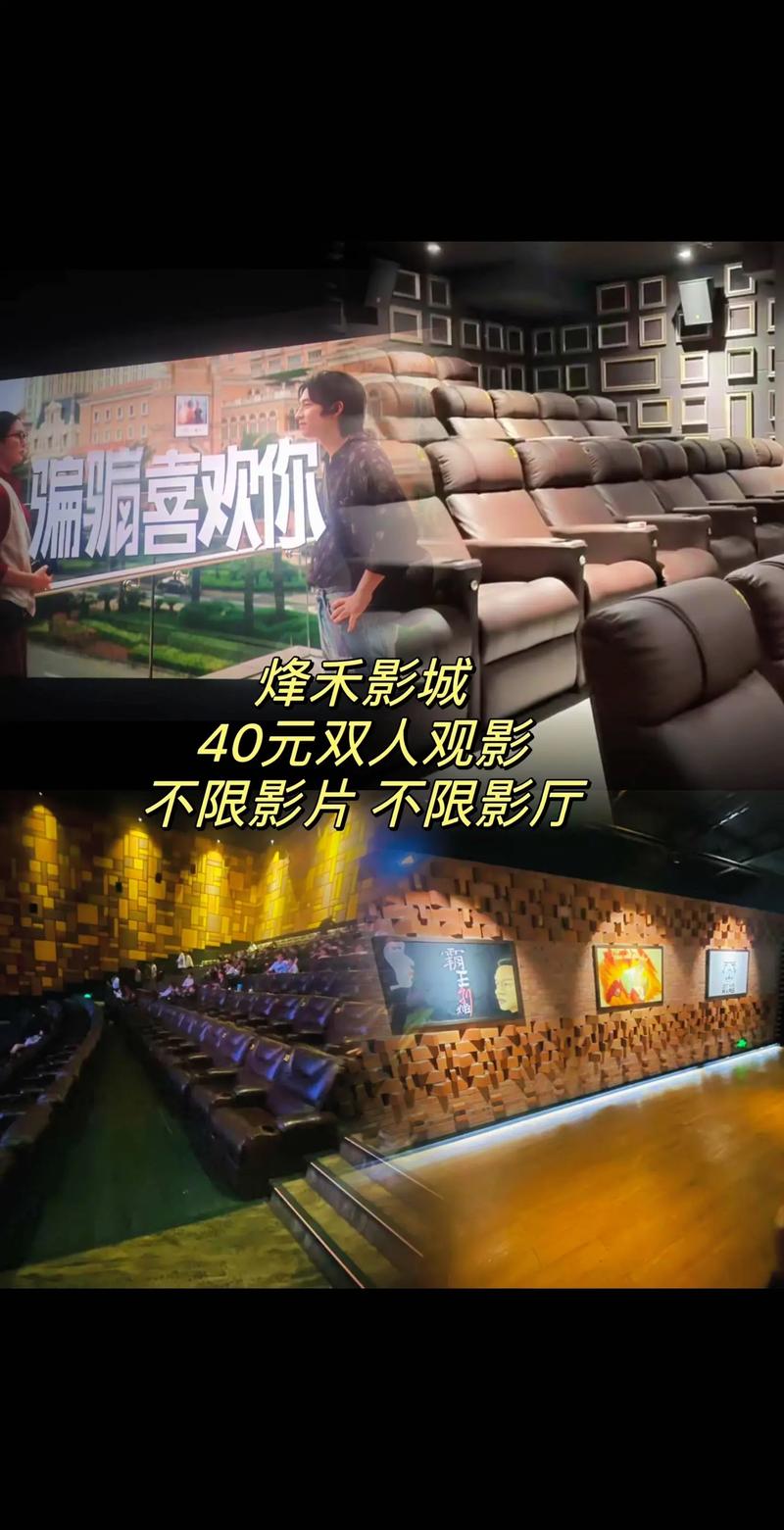 私人 影院的相关介绍