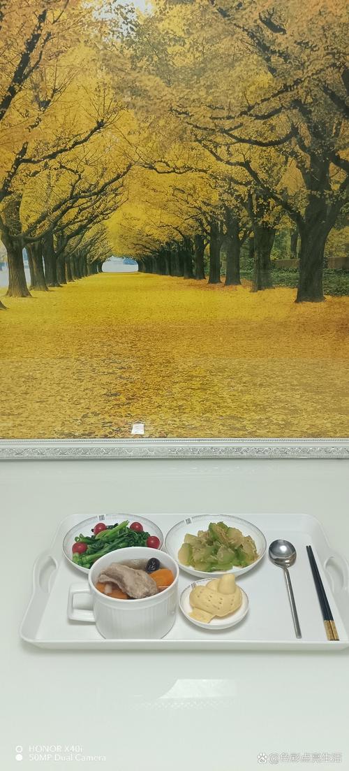 日韩avxxxx熟妇的相关介绍