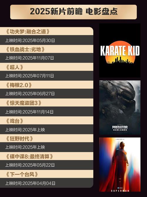 老光棍电影影院yy在线播放的相关介绍