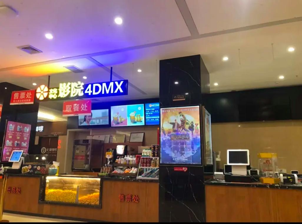 成人影院的相关介绍