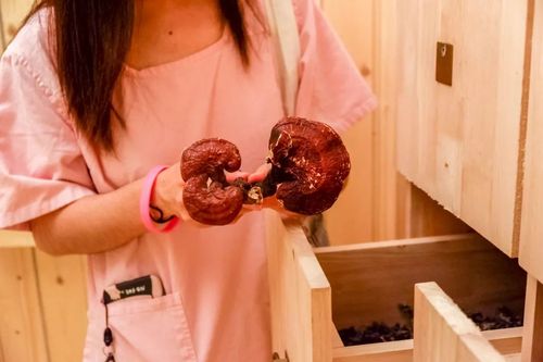 5个g影院的相关介绍