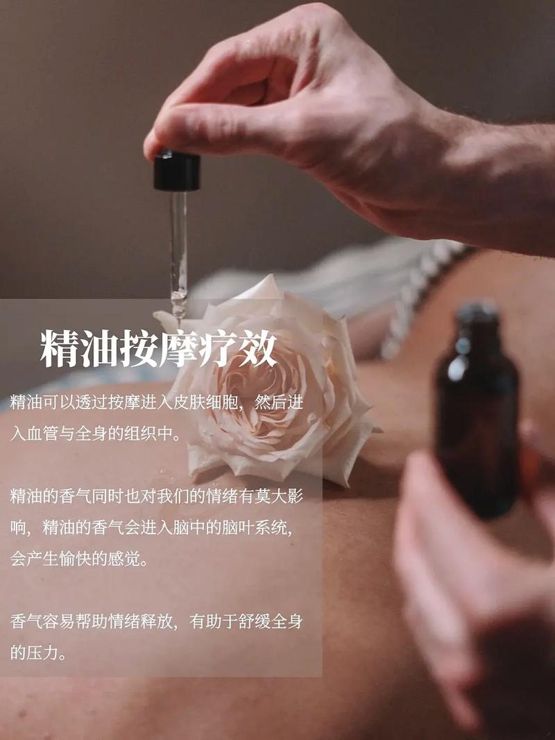 八一影院官方正版免费下载的相关介绍