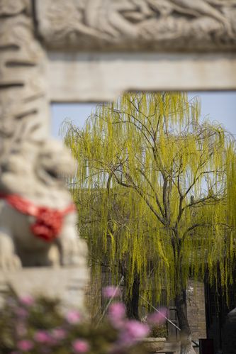 91刺激人妻的相关介绍