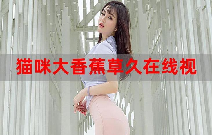 干逼逼逼国产片的相关介绍