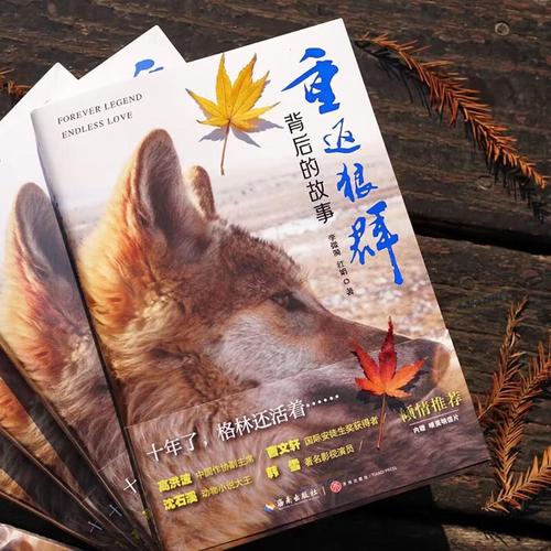 久久久一区二区欧美的相关介绍