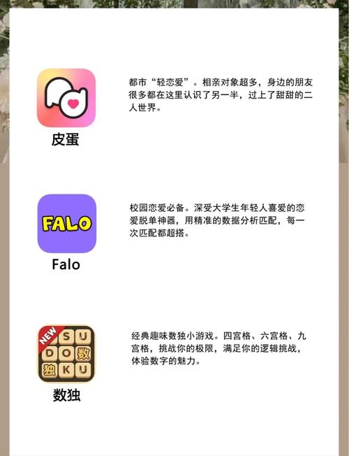 99精品久久久的相关介绍