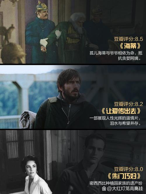 沙坪坝电影院的相关介绍