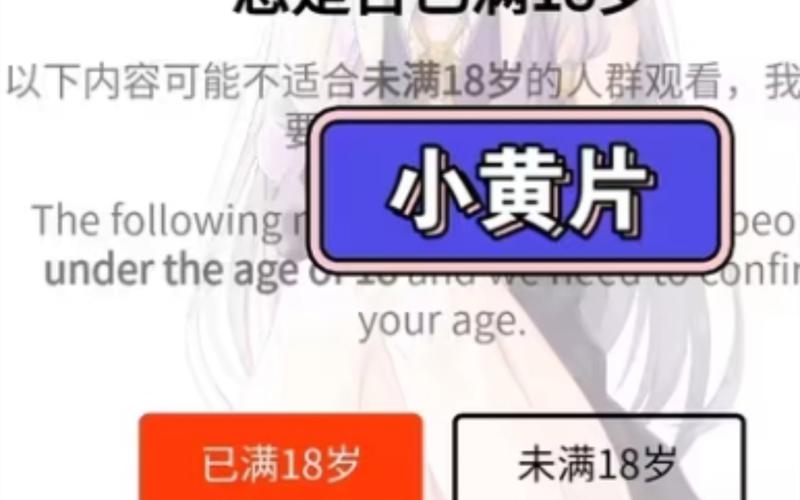 十八岁禁止网站在线观看的相关介绍