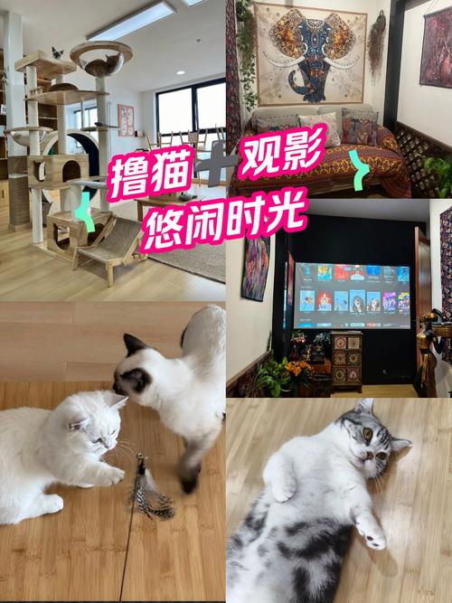 久久xxx性欧美西西的相关介绍