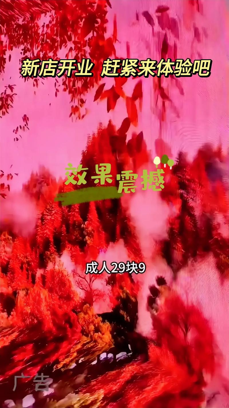 久久久久久精品一区的相关介绍