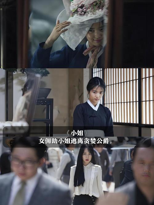 达达兔在线观看影院的相关介绍