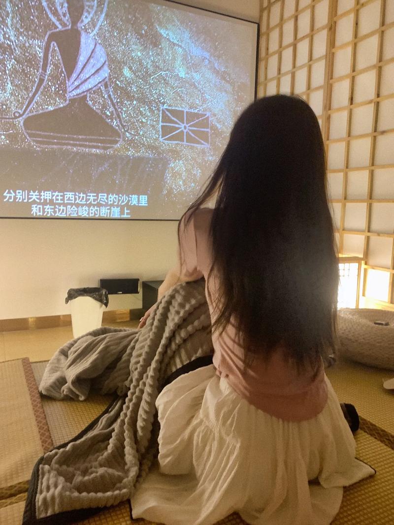 极速影院精简版官方下载安装的相关介绍