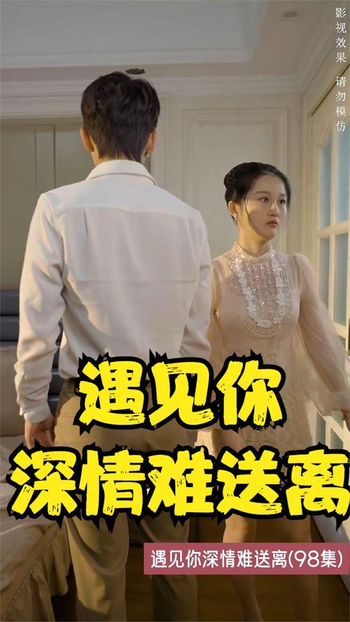 欧美精品久久久久久干草小说的相关介绍