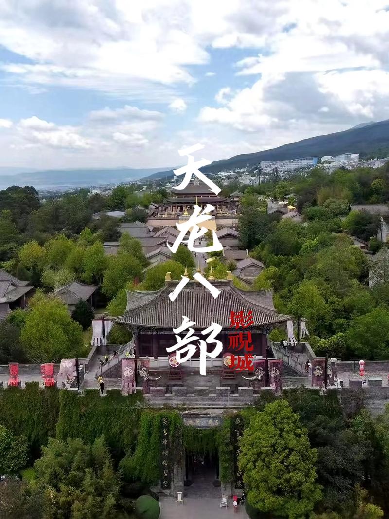 午夜影院普通用户的相关介绍