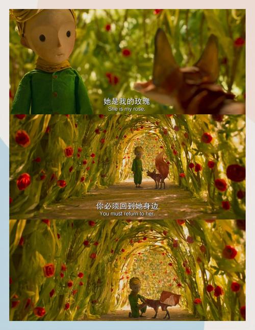 很厚影院的相关介绍
