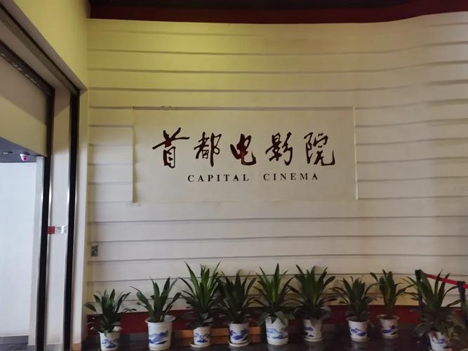 青柠影院在线观看免费 百度网盘的相关介绍