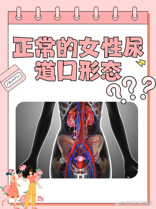 准点影院的相关介绍