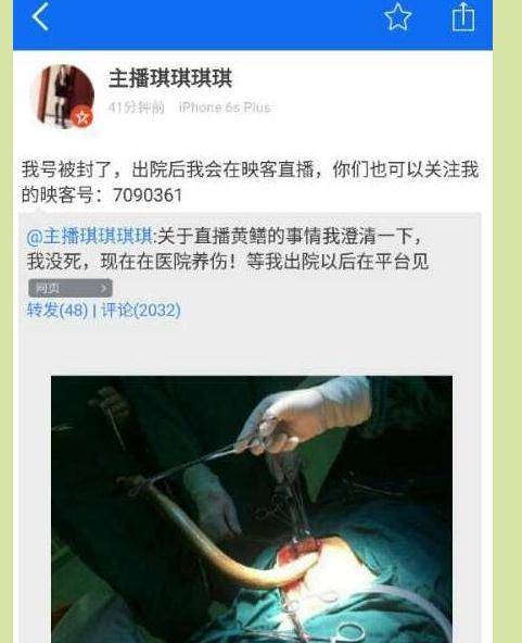 男女大尺度吻胸的相关介绍