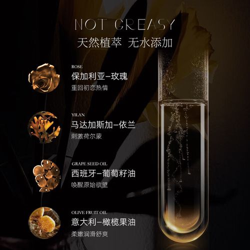速度影院的相关介绍