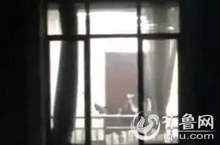 红楼影院的相关介绍
