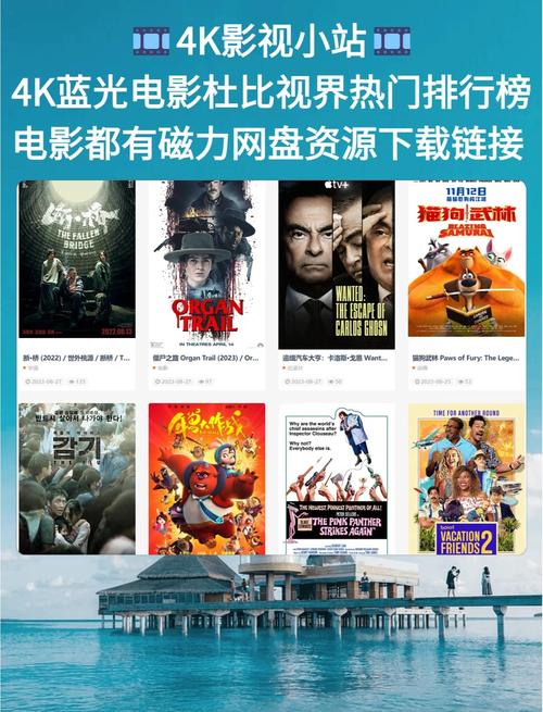 a级片激情片久久久久久的相关介绍