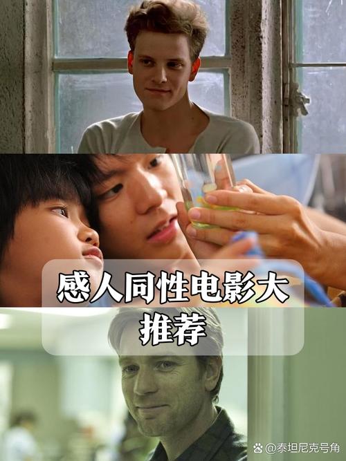 每天视频app下载的相关介绍