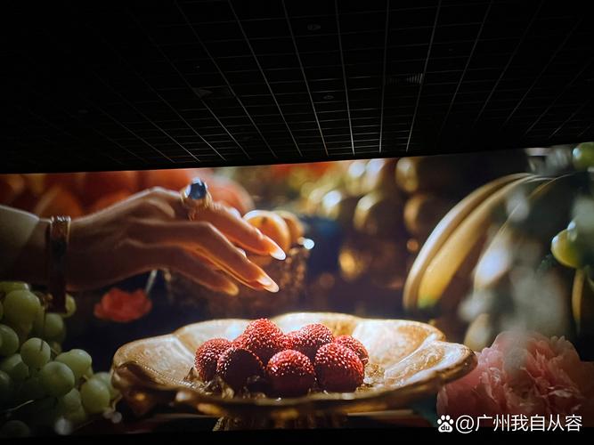 yy4080高清影院免费的相关介绍